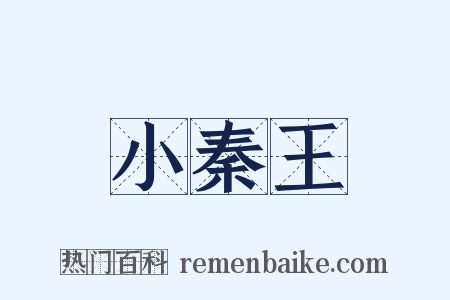 小秦王是什么意思的图片